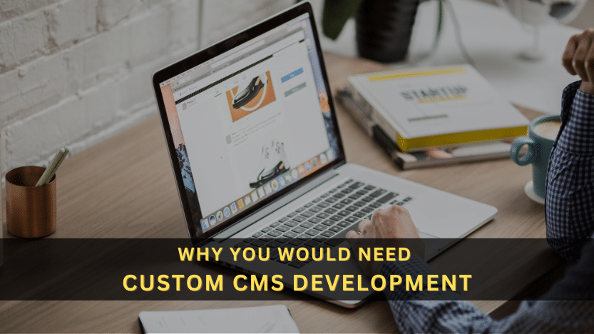 why-need-custom-cms-development-in-usa-united-states